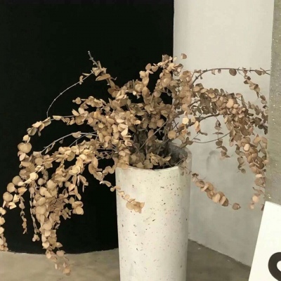 兽设星空场景设计FurryQQ群